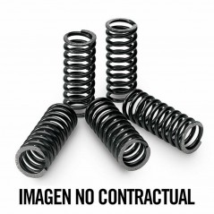 TECNIUM KIT, CLUTCH SPRING 18467