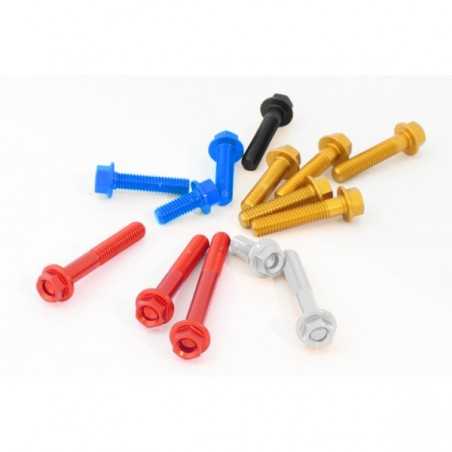 EVOTECH Tornillo ergal TER M6x10 plata de - Alta calidad y ligereza M6