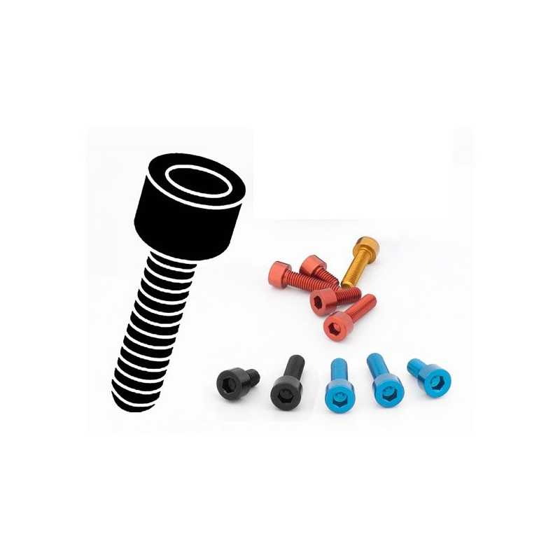 EVOTECH ALUMINUM ERGAL MACHINED BOLT TCEI M6 TCEI M6