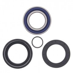 ALL BALLS KIT, BEARINGS, WHEEL, FRONT 17088