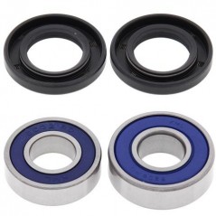 ALL BALLS KIT, BEARINGS, WHEEL, REAR 17113
