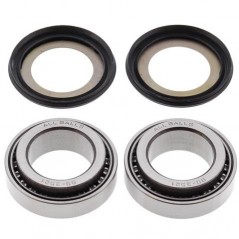 ALL BALLS KIT, BEARINGS AND SEALS SPINE STEERING 17066