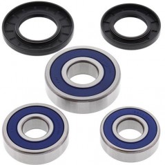 ALL BALLS KIT, BEARINGS, WHEEL, REAR 17122