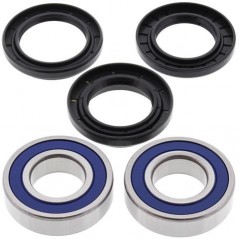 ALL BALLS KIT, BEARINGS, WHEEL, REAR 17177