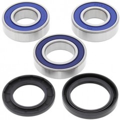 ALL BALLS Kit rodamientos rueda trasera 17105