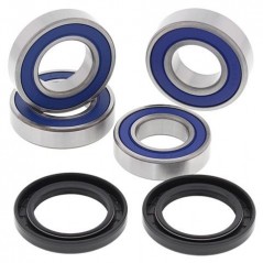 ALL BALLS Kit rodamientos rueda trasera 17181