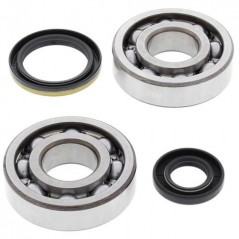 ALL BALLS Kit rodamientos y retenes de cigüeñal 24-1020 34532