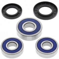 ALL BALLS Wheel Bearing Kit 25-1358 94068