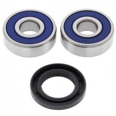 ALL BALLS Wheel Bearing Kit 25-1640 93584