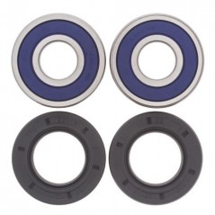 ALL BALLS Wheel Bearing Kit 25-1382 93724