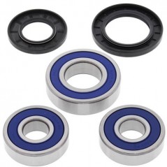ALL BALLS Wheel Bearing Kit 25-1285 94090