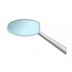 RIZOMA REAR VIEW MIRROR DYNAMIC BS080