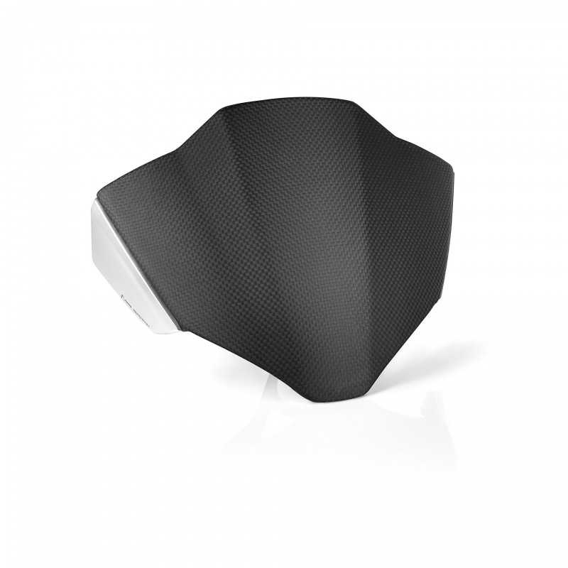 RIZOMA Cupula parabrisas de carbono ZDM149