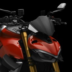 RIZOMA Carbon windshield screen ZDM149