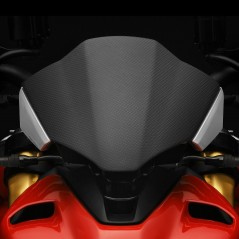RIZOMA Carbon windshield screen ZDM149