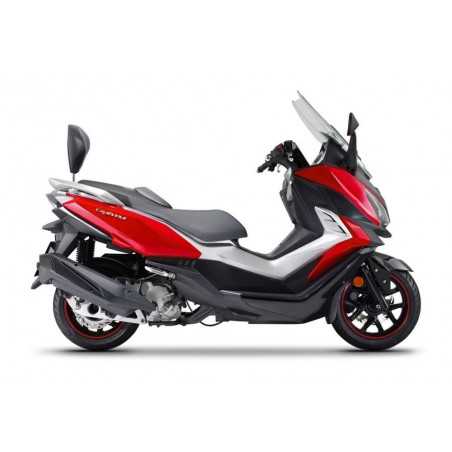 SHAD Fijacion soporte respaldo pasajero (sin respaldo) S0CR38RV