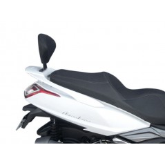 SHAD Fijación Soporte Respaldo para Pasajero de Alta Calidad - Marca K0DW15RV