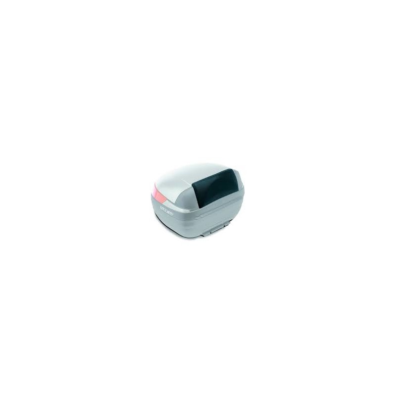 SHAD Passenger backrest for SH44 trunk SHAD SHAD D0RI10