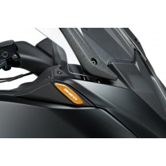 PUIG Set of original rear-view mirror base caps 3875