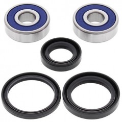 ALL BALLS Kit rodamientos de rueda 25-1307 94001