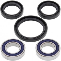 ALL BALLS Kit rodamientos de rueda 25-1080 93620
