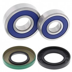 ALL BALLS Kit rodamientos de rueda 25-1356 94119