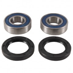 ALL BALLS Wheel Bearing Kit 25-1738 94045