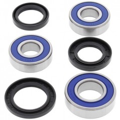 ALL BALLS Wheel Bearing Kit 25-1557 94110