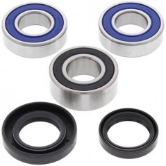 ALL BALLS Kit rodamientos de rueda 25-1418 93684