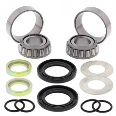 ALL BALLS KIT, BEARINGS, DETENT AND ROCKING BITS 17212
