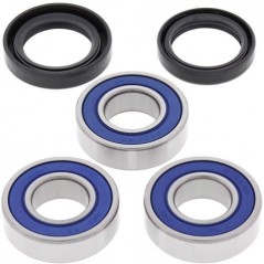 ALL BALLS Kit rodamientos rueda trasera 17116