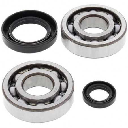 ALL BALLS KIT, BEARINGS AND SEALS FOR CRANKSHAFT 24-1004 34518