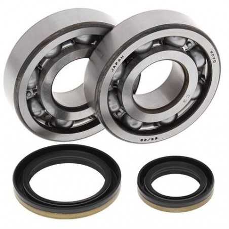ALL BALLS KIT, BEARINGS AND SEALS FOR CRANKSHAFT 24-1021 34533