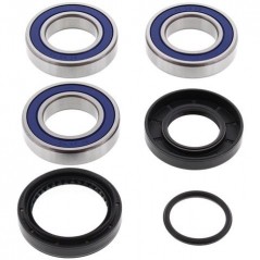 ALL BALLS Kit rodamientos rueda trasera 17091