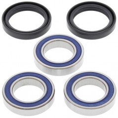ALL BALLS Kit de rodamientos rueda trasera para bicicletas competición 17119