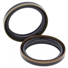 ALL BALLS KIT, STOCK FORK OIL 55-145 94192