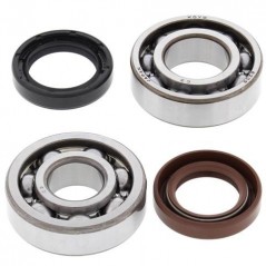 ALL BALLS KIT, BEARINGS AND SEALS FOR CRANKSHAFT 24-1072 93786