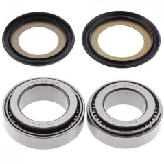 ALL BALLS KIT, BEARINGS AND DETENT OF SPINE 22-1018 34054