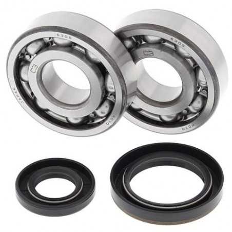 ALL BALLS KIT, BEARINGS AND SEALS FOR CRANKSHAFT (repl 24-1018) 24-1019 34531
