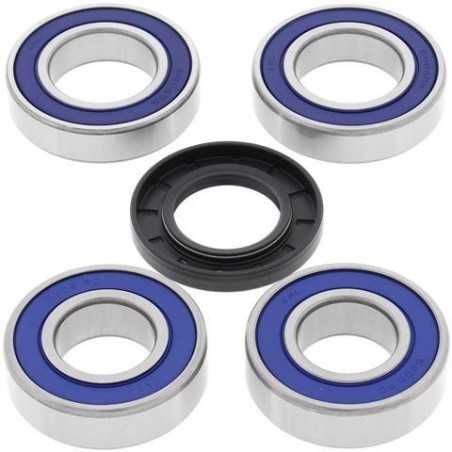 ALL BALLS KIT, BEARINGS, WHEEL, REAR 17173