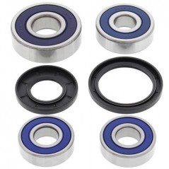 ALL BALLS KIT, WHEEL BEARINGS 25-1238 34074