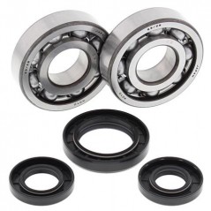 ALL BALLS KIT, BEARINGS AND SEALS FOR CRANKSHAFT 24-1028 34540