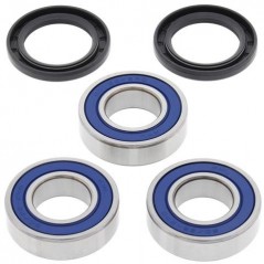 ALL BALLS KIT, BEARINGS, WHEEL, REAR 17121