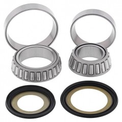 ALL BALLS KIT, BEARINGS AND DETENT OF SPINE 22-1038 34062