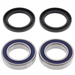 ALL BALLS KIT, BEARINGS, WHEEL, REAR 17134
