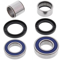 ALL BALLS KIT, WHEEL BEARINGS 25-1473 34076