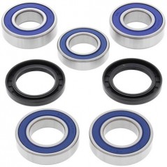 ALL BALLS Kit rodamientos rueda trasera 17163