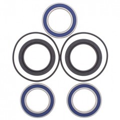 ALL BALLS KIT, BEARINGS, WHEEL, REAR 17179