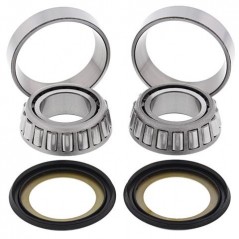 ALL BALLS KIT, BEARINGS AND SEALS SPINE STEERING 17079