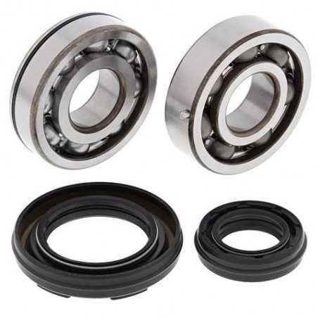 ALL BALLS KIT, BEARINGS AND SEALS FOR CRANKSHAFT 24-1034 34546